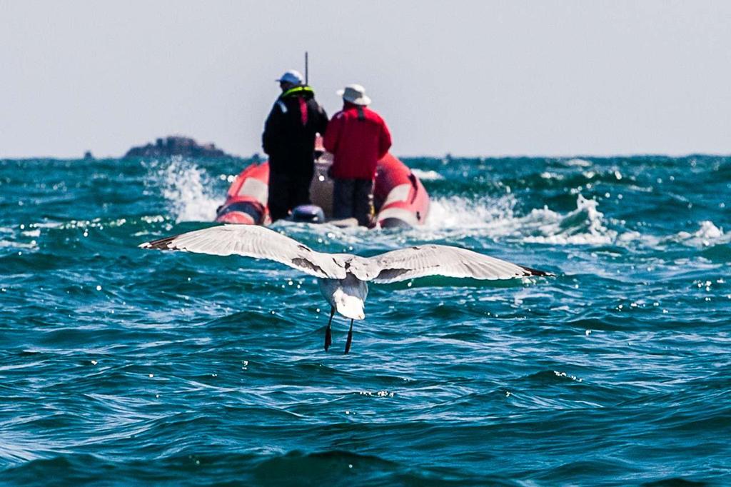 2013 Women&rsquo;s International Match Racing Series - St Quay &copy;  Christian Chardon
